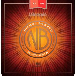 D'addario - NBM1140 1