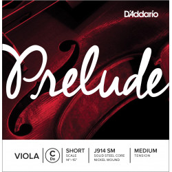 Dáddario Orchestral - J914 PRELUDE - DO 1