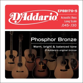 D'addario - EPBB170-5 PHOSPHOR BRONZE 5-STRING LONG SCALE, [45-130] - Bass String | Z-Bombilla