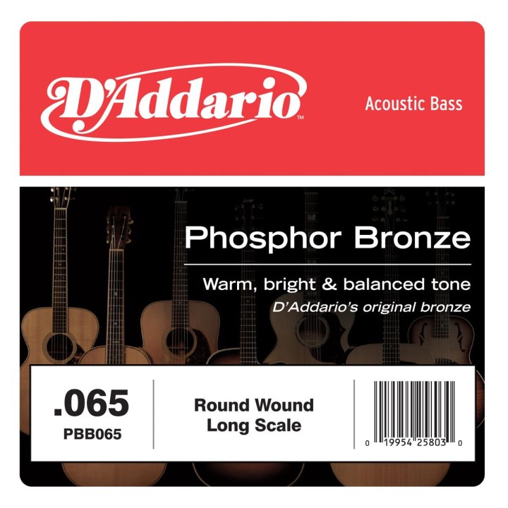 D'addario - PBB065 - Bass String | Z-Bombilla