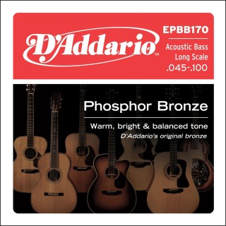 D'addario - EPBB170 PHOSPHOR BRONZE ACOUSTIC BASS, LONG SCALE [45-100] - Bass String | Z-Bombilla