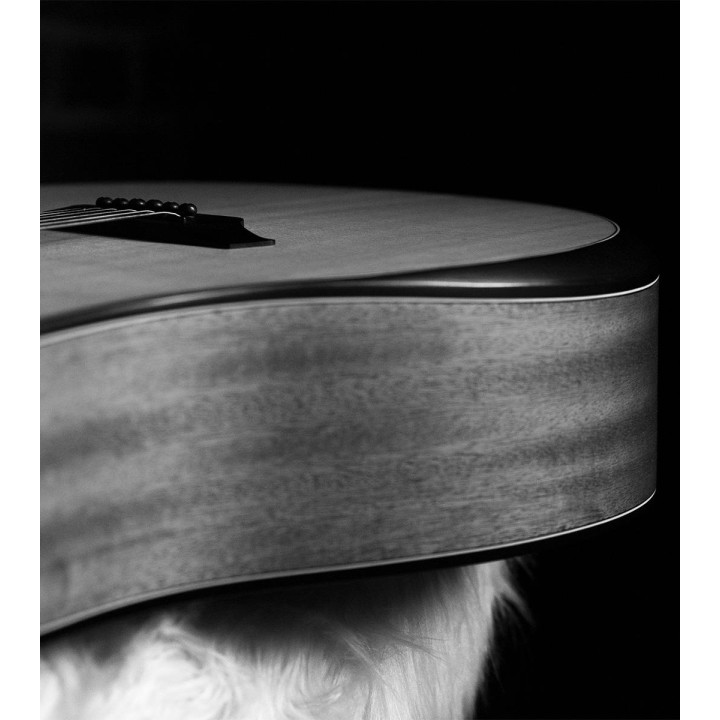 Oqan - QGA-100 CE SOLID NAT (PREAMP)