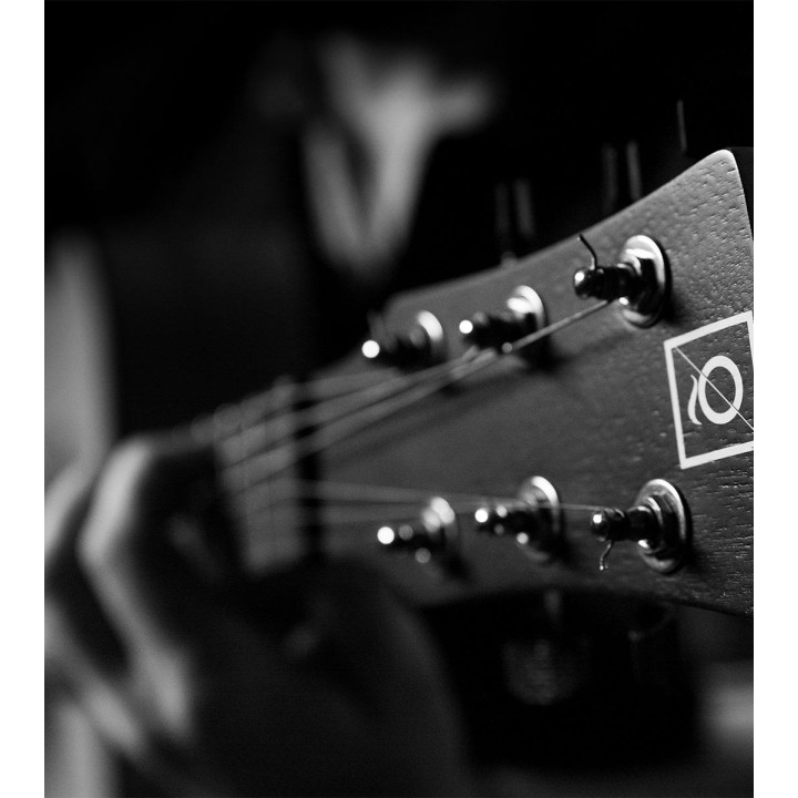 Oqan - QGA-100 CE SOLID NAT (PREAMP)