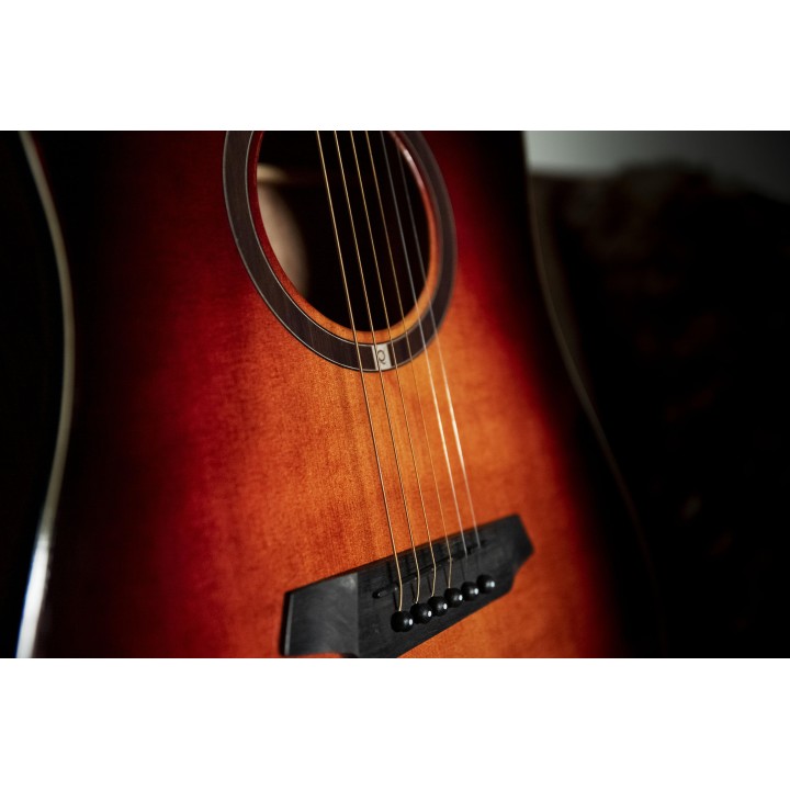 Oqan - QGA-100CE SBG (PREAMP)