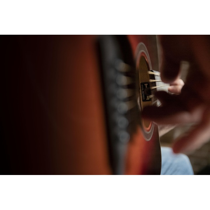 Oqan - QGA-100CE SBG (PREAMP)