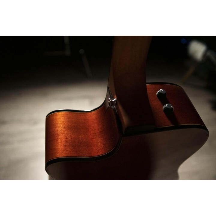 Oqan - QGA-100CE SBG (PREAMP)