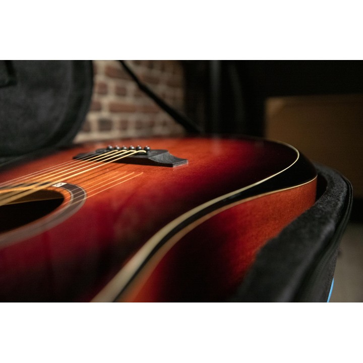 Oqan - QGA-100CE SBG (PREAMP)