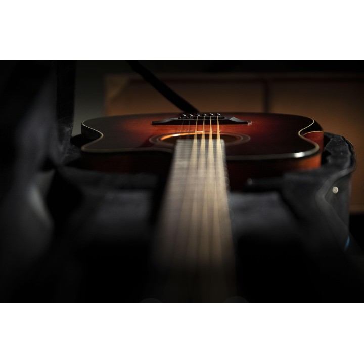 Oqan - QGA-100CE SBG (PREAMP)