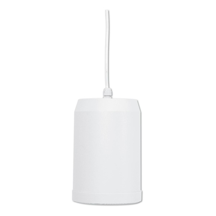 Omnitronic - WP-10W Ceiling Speaker