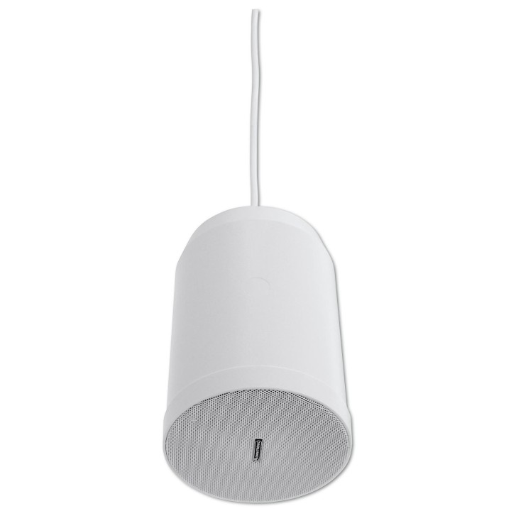 Omnitronic - WP-10W Ceiling Speaker