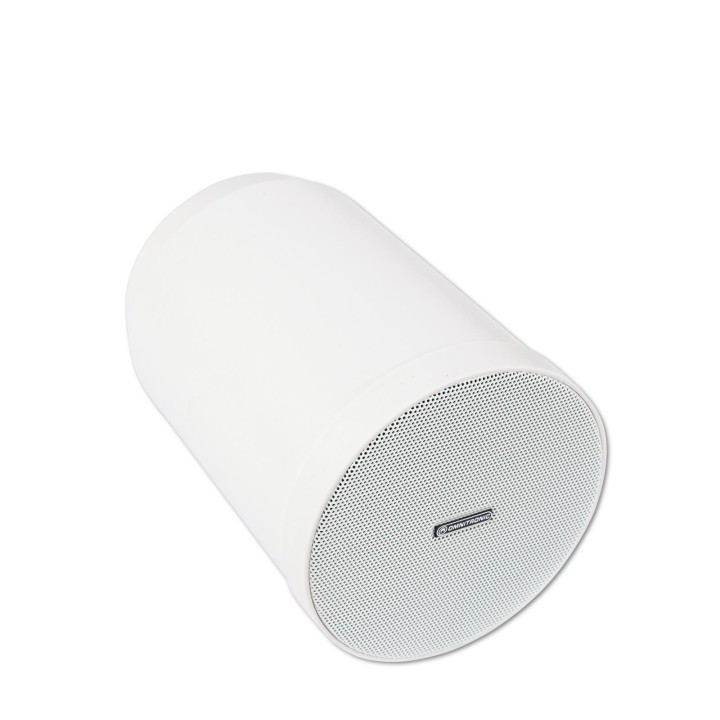 Omnitronic - WP-15W Ceiling Speaker