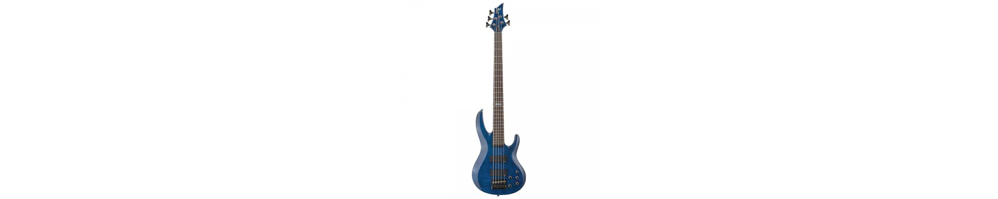 Bajos Electricos / Acusticos