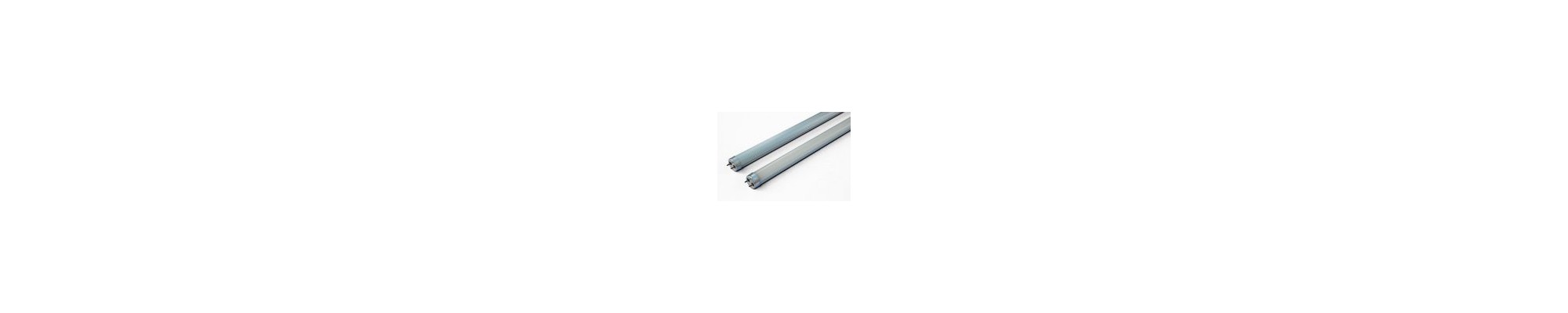 Tubos T8 LED