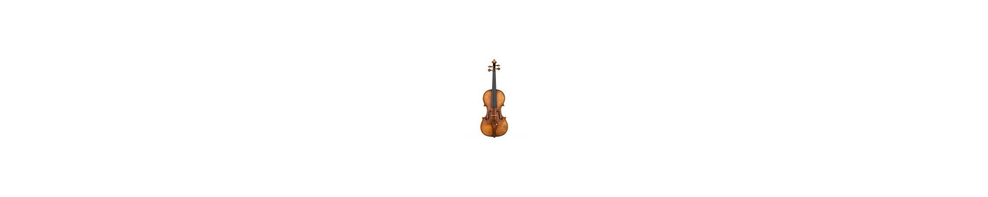 Violines