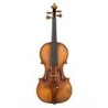 Violons