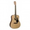 Acoustic Guitars