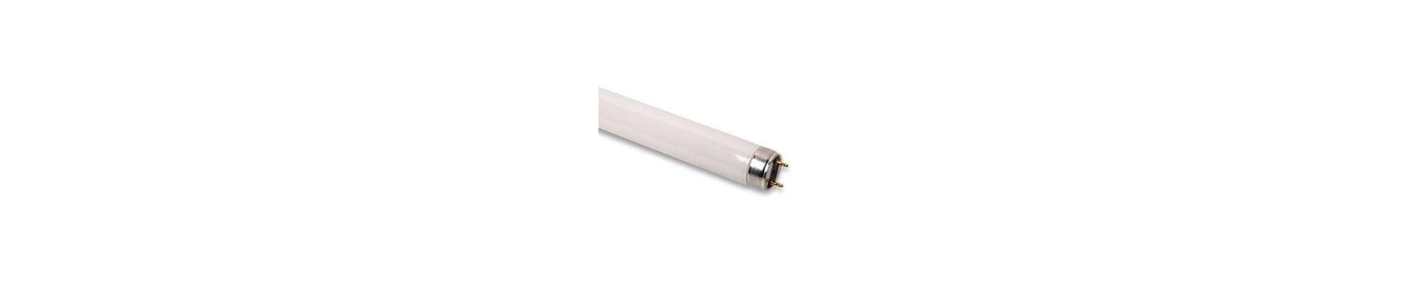 Fluorescent tubes