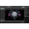 Software video