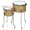 Timbales della scuola