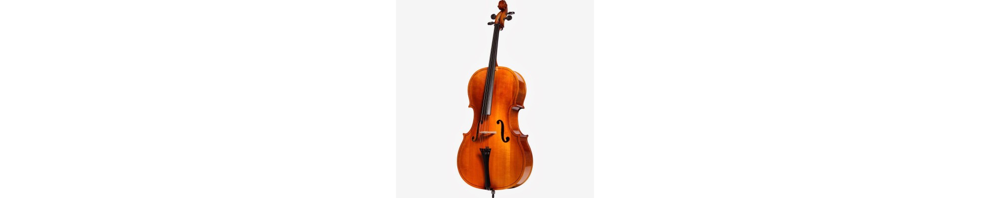 violoncel