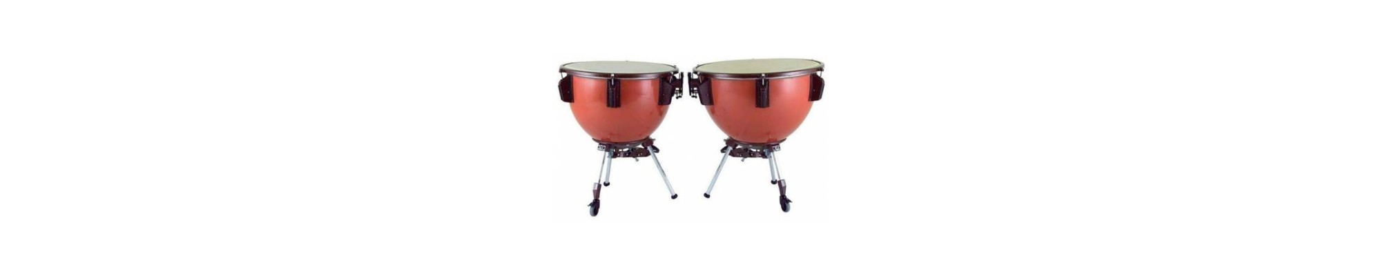 Timbales de banda