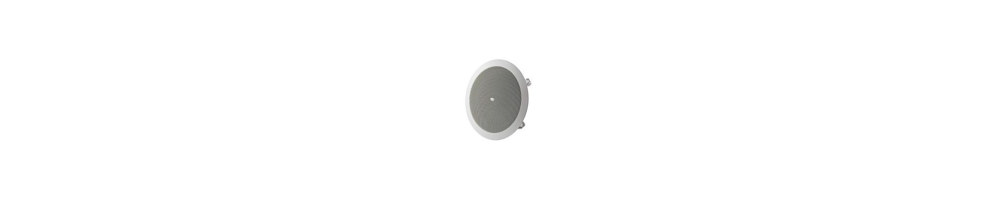 Speaker 100v line