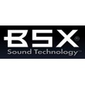 BSX